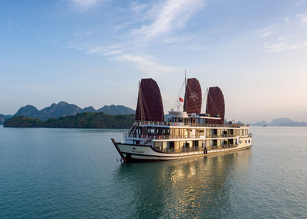 Orchid Trendy Cruise