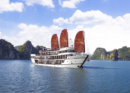 Alisa Premier Cruise