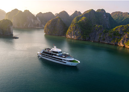 Stellar of the Seas Cruise