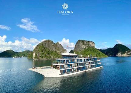 Halora Metta Cruise