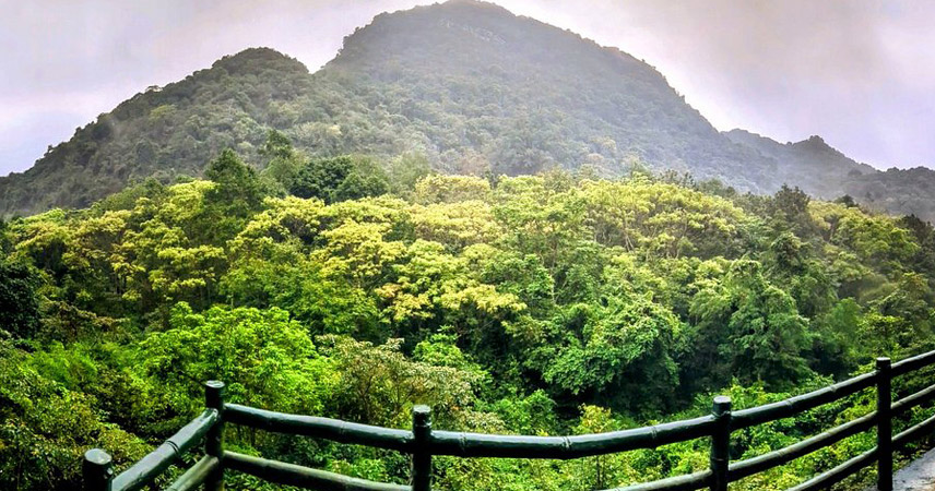 Outside, the forest completes the experience