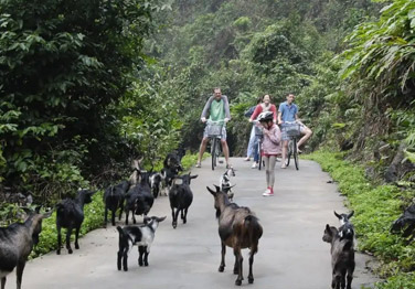 Doris Cruise 3 days 2 nights