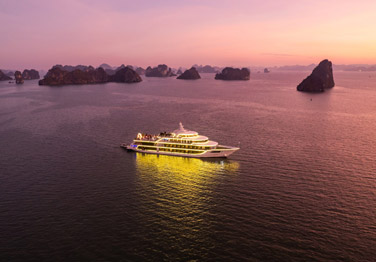Enjoy Dinner and Relax on Sea Octopus Cruise