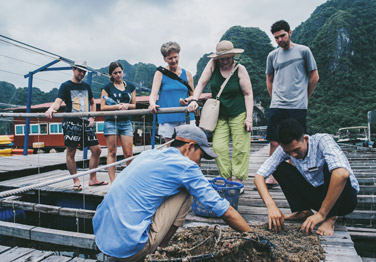 Victorious Cruise 3 Days 2 Nights