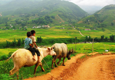 Hanoi - Sapa - Lao Chai - Ta Van - Giang Ta Chai