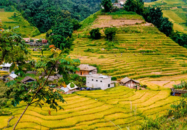 Hanoi - Sapa - Cat Cat - Lao Chai - Ta Van