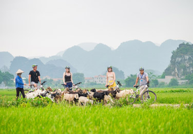 Hoa Lu and Tam Coc Day Tour