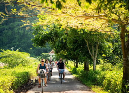 Discover Viet Hai Village on Cat Ba Island