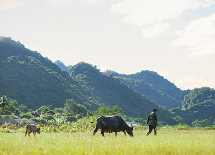 Visit Viet Hai Village on Cat Ba Island