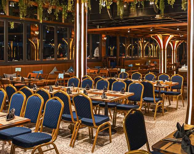 Discover Halong Bay on Dolphin Cruise