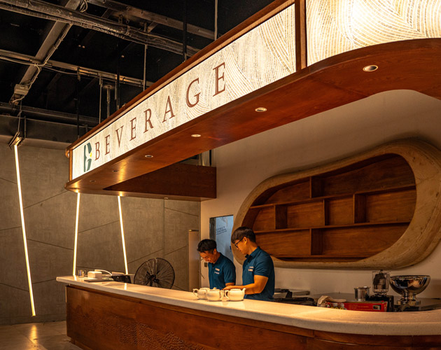 Discover Halong Bay on Dolphin Cruise