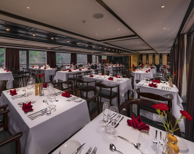 Scarlet Pearl Cruise: A Luxury Escape in Lan Ha Bay