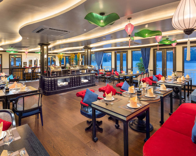 Discover Lan Ha Bay on Verdure Lotus Luxury