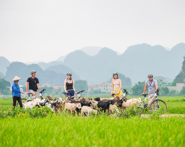 Hoa Lu Trang An Cycling Tour | Ninh Binh Day Tour from Hanoi