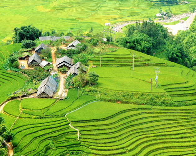 2 Days Sapa Homestay Tour | Trek Lao Chai Ta Van from Hanoi