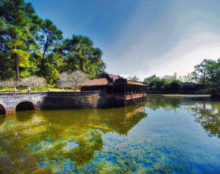 Hue City Tour from Hoi An or Da Nang