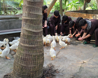 Mekong Delta Life Eco Tour from Ho Chi Minh City